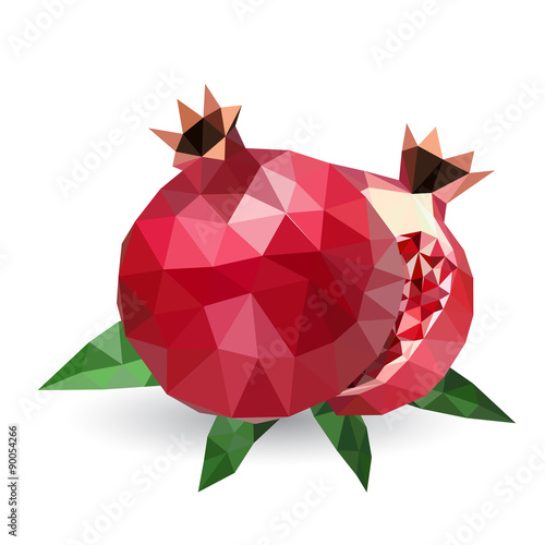 Vector illustration of a pomegranate