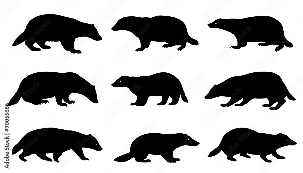 badger silhouettes badger silhouettes