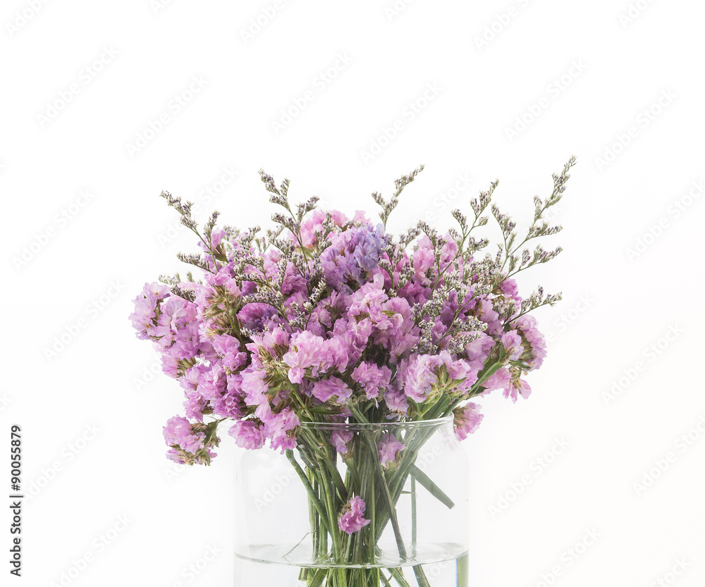 statice flower bouquet  on white background