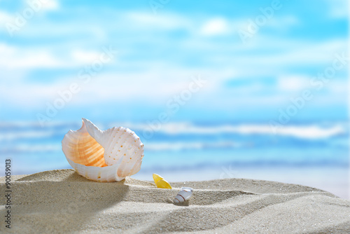 Seashells on the sandy beach in summer with blue sea and sky travel icon