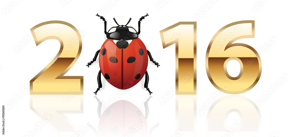 Fototapeta premium 2016_Coccinelle