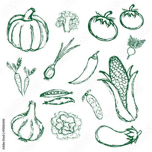 simple hand drawn doodle vegetables icons eps10