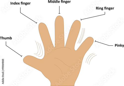 Finger Names