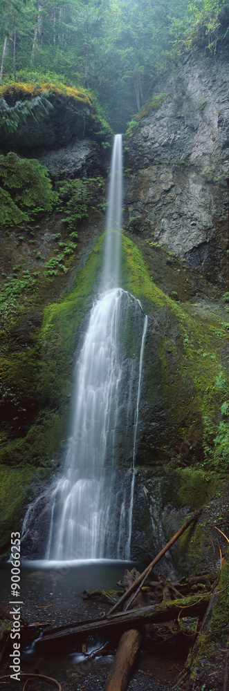 Waterfall in Olympic National Rainforest