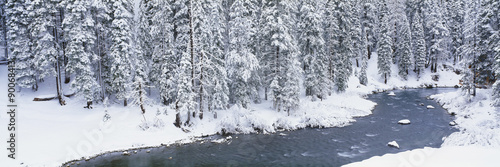 Stream in winter, California