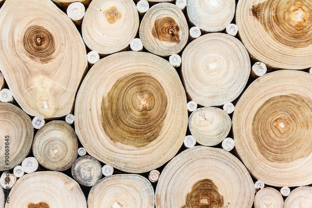 Obraz premium wood texture. Abstract background, empty template