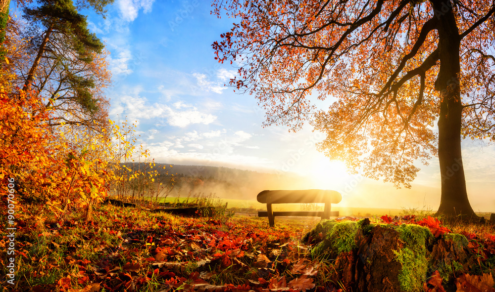 Zauberhafte Herbstszene - obrazy, fototapety, plakaty 