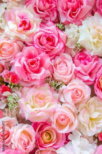 Soft color Roses Background