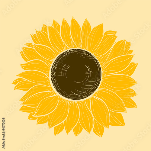 Fototapeta Naklejka Na Ścianę i Meble -  beautiful sunflower isolated on a white background. Hand-drawn contour lines and strokes.