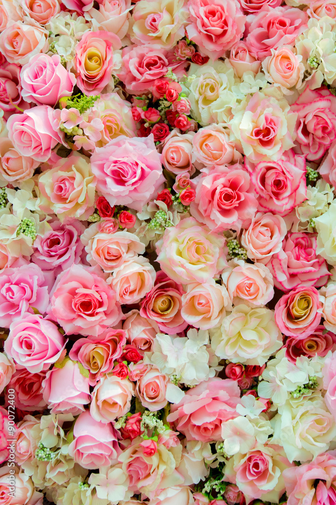 Soft color Roses Background Soft color Roses Background