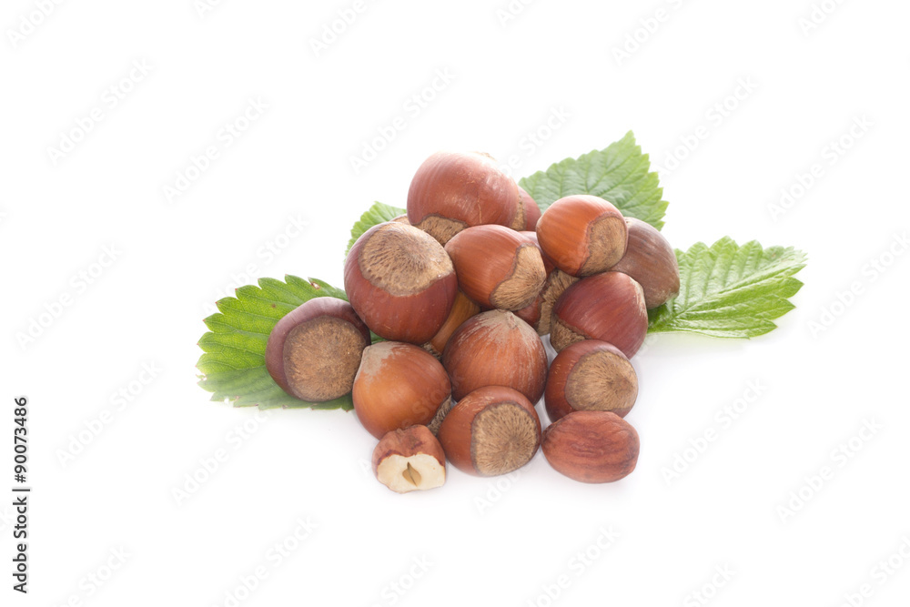 hazelnuts isolated hazelnuts isolated