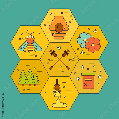 Honey Concept with Honeycomb