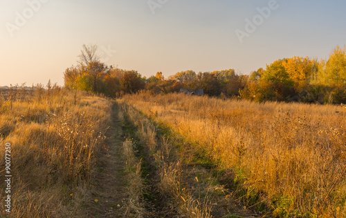 Earth road to abandoned hamlet in Sumskaya oblast, Ukraine