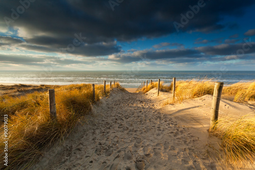 sand path to North sea beach in sunlight
