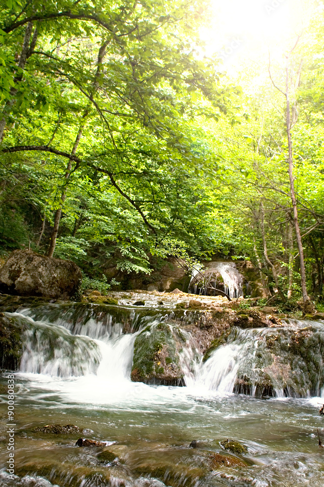 forest river forest river