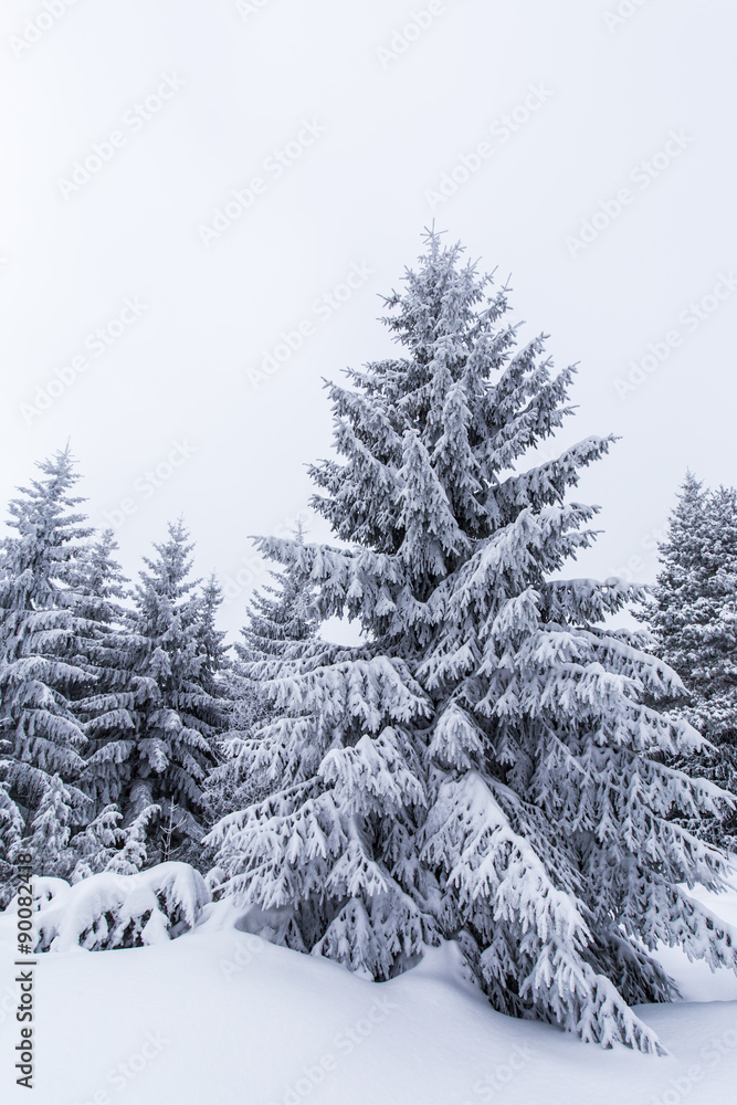 Scenery in the mountains, in winter