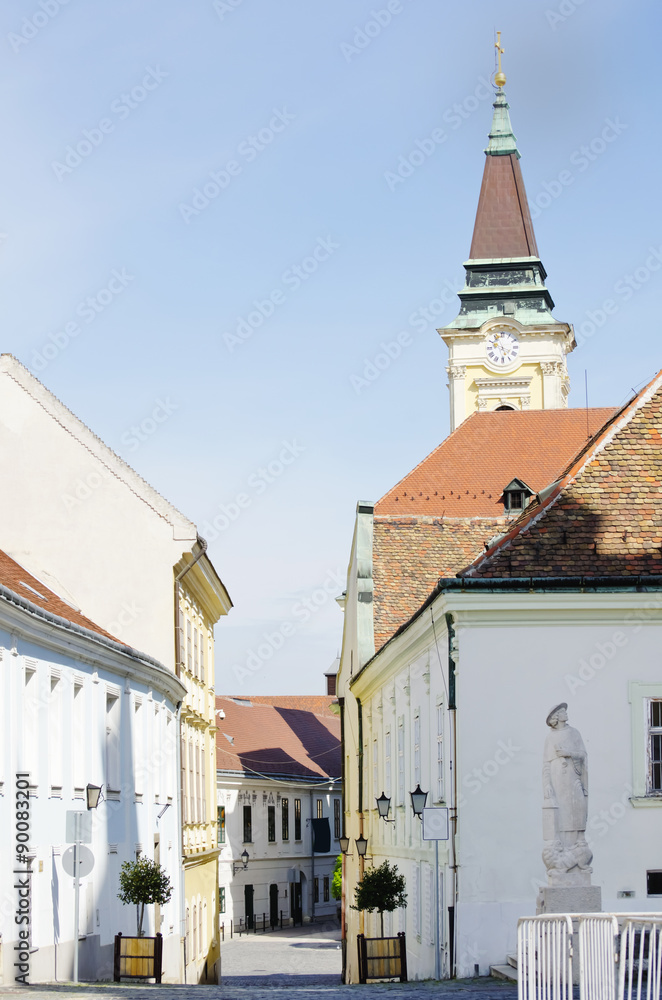 Szekesfehervar Town in Hungary