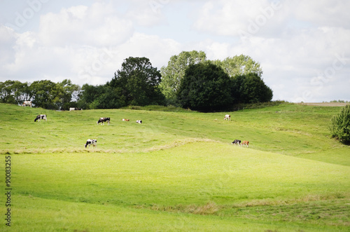 Farm Green Meadow