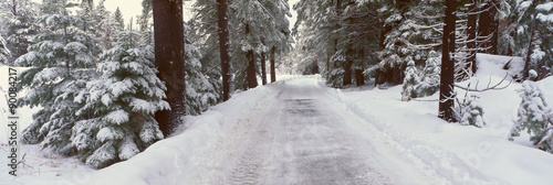 Winter Road Near Lake Tahoe, California #90084217