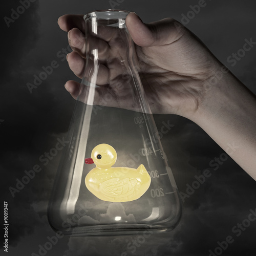 Tableau sur toile Duck toy