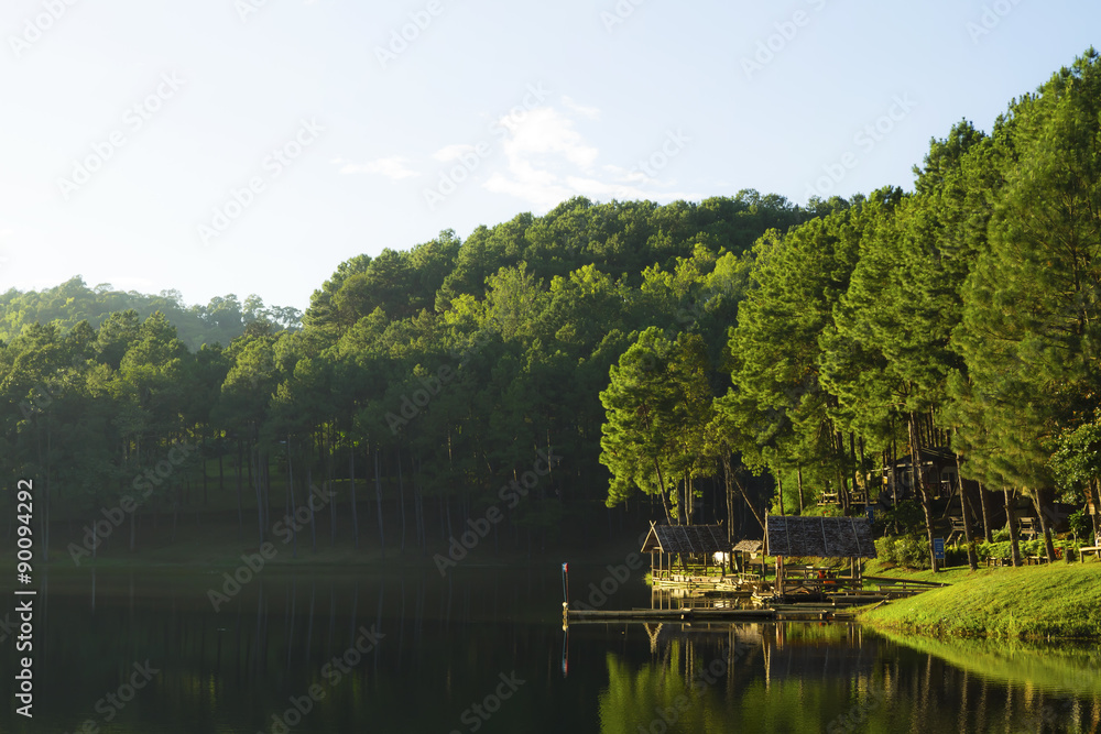 Fototapeta premium Morning sunrise at Pang-ung, Pine forest in Mae Hong Son,Thailand