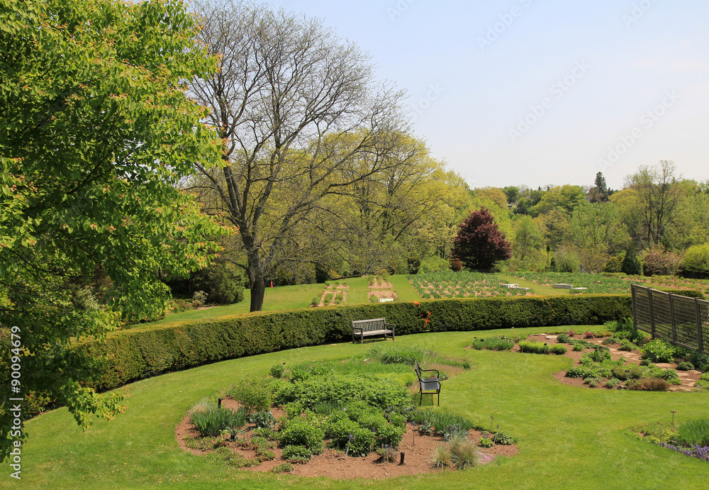 Obraz premium Blooming Garden