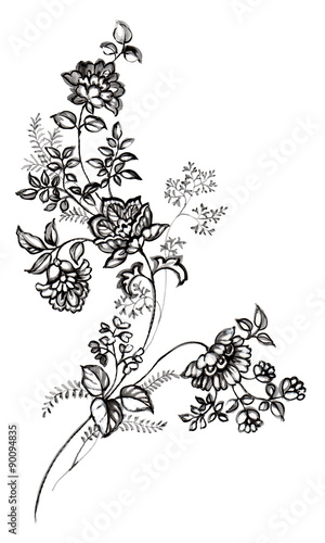 덩굴 사라사 꽃
