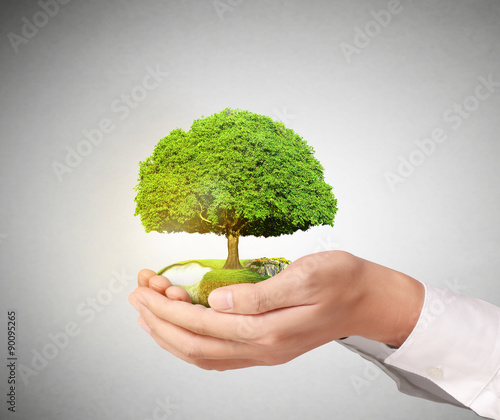 Businessman holding tree photo