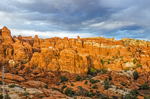 Beautfiul Contrasts in Arches National Park