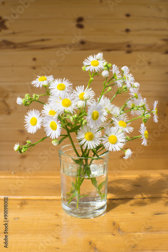 Wallpaper Mural A small bouquet of white flowers standing on the window sil Torontodigital.ca