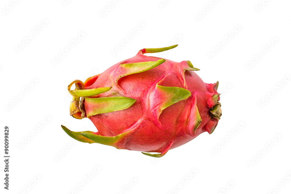 Dragon Fruit Dragon Fruit