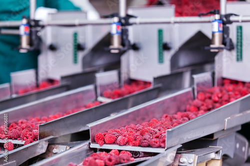 Obraz na płótnie frozen raspberry processing business w salonie