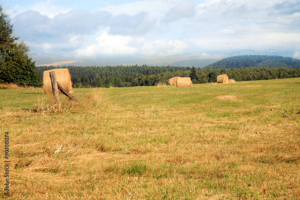 Obraz premium Hay harvest on meadow in Pasterka village, Poland, Table Mountains travel destination.