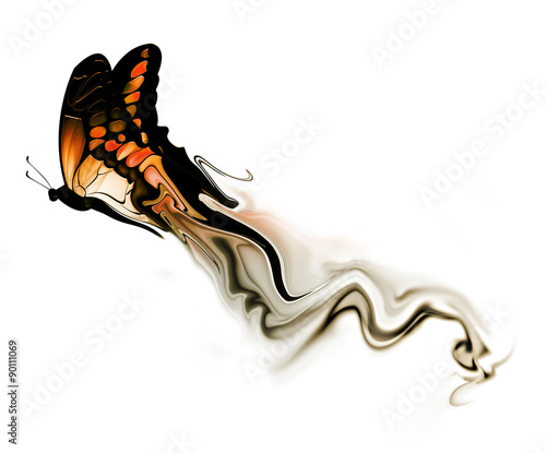 Canvas Print butterfly with smoke