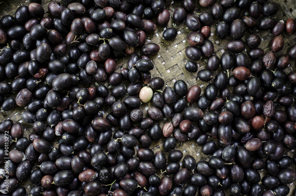 Christ's thorn fruit in pannier, Carissa carandas L. Christ's thorn fruit in pannier, Carissa carandas L.