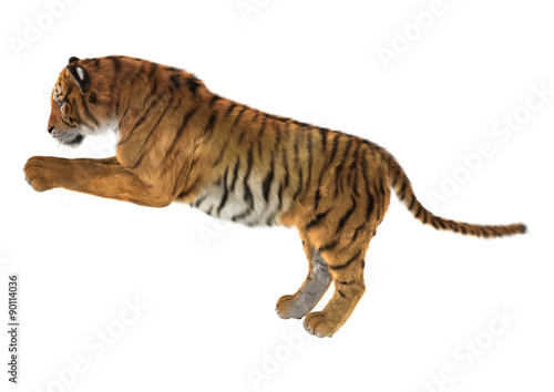 Fototapeta Naklejka Na Ścianę i Meble -  Tiger