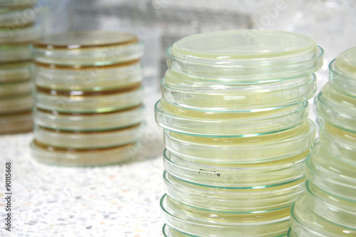 Stacks of Petri dishes prepare for science research.