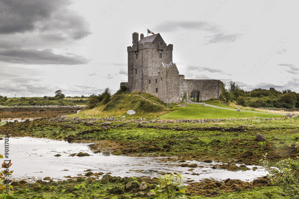Fototapeta premium Dunguaire Castle in Irlanda