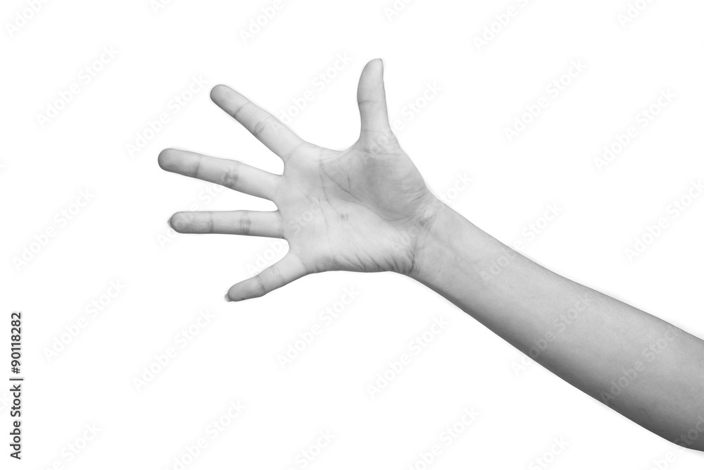 BW tone of Woman hand making sign. Isolated on white background BW tone of Woman hand making sign. Isolated on white background