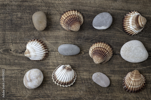 Sea shells and  pebbles on an old wooden plank