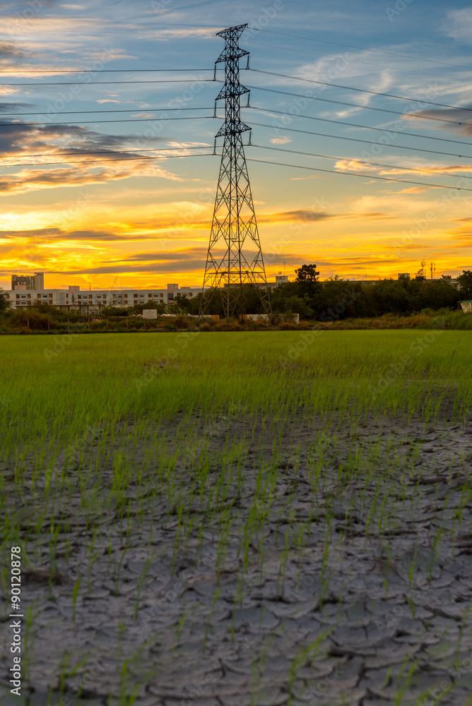 high voltage post.High-voltage tower at sunset