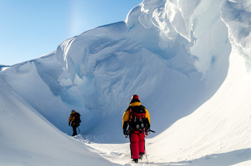 Poster Antarctica Avontuur tussen ijsbergen op Antarctica  © antantarctic