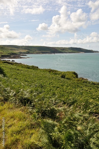 Wallpaper Mural Omonville la Rogue Torontodigital.ca