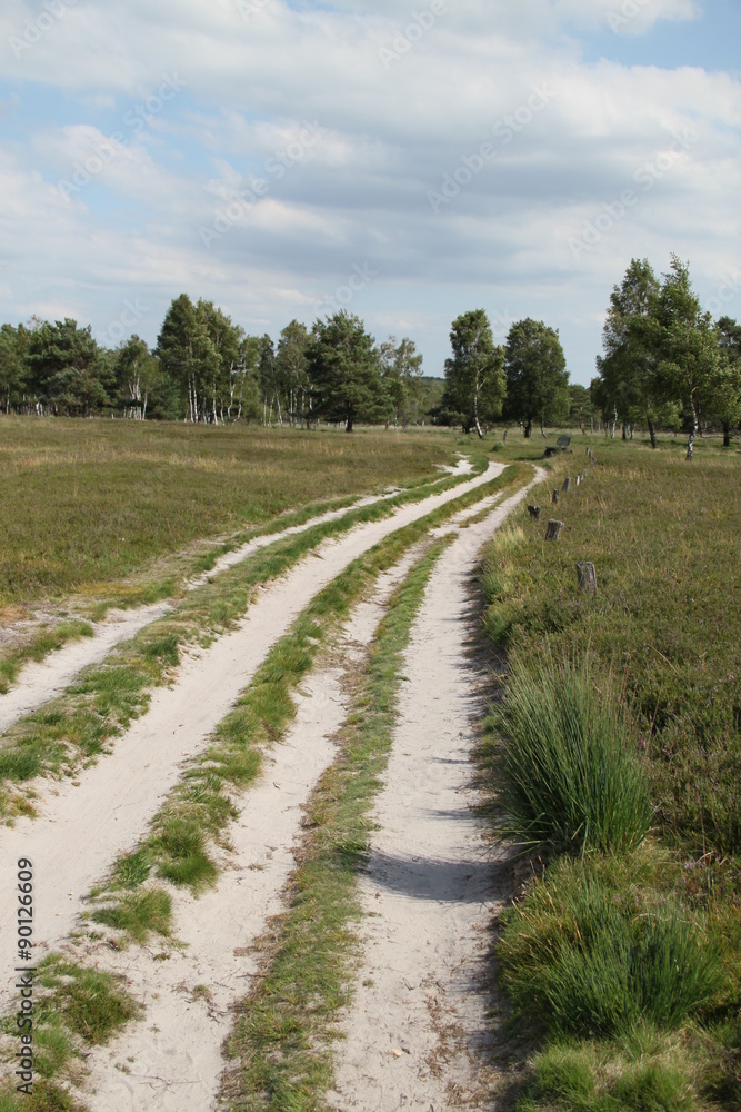 Obraz premium Sandweg durch die Heide