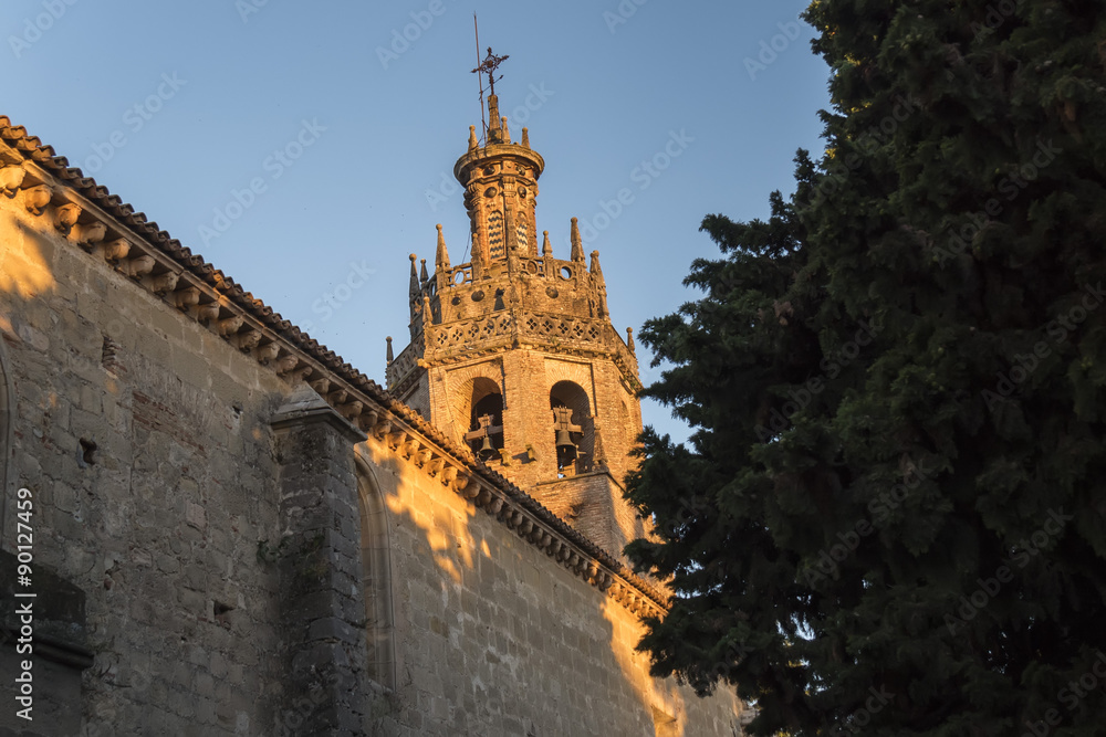St. Mary Major or Ronda Cathedral, Malaga, Spain