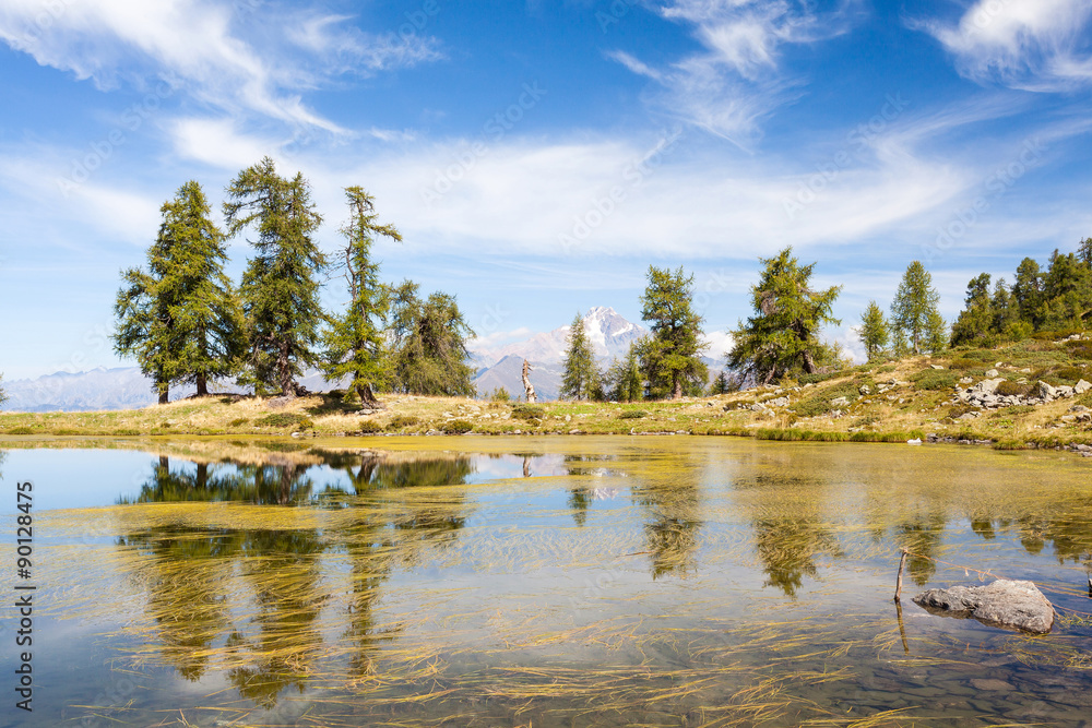 Laghetto delle Zocche - sullo sfondo Monte Disgrazia - Valtellina (IT)