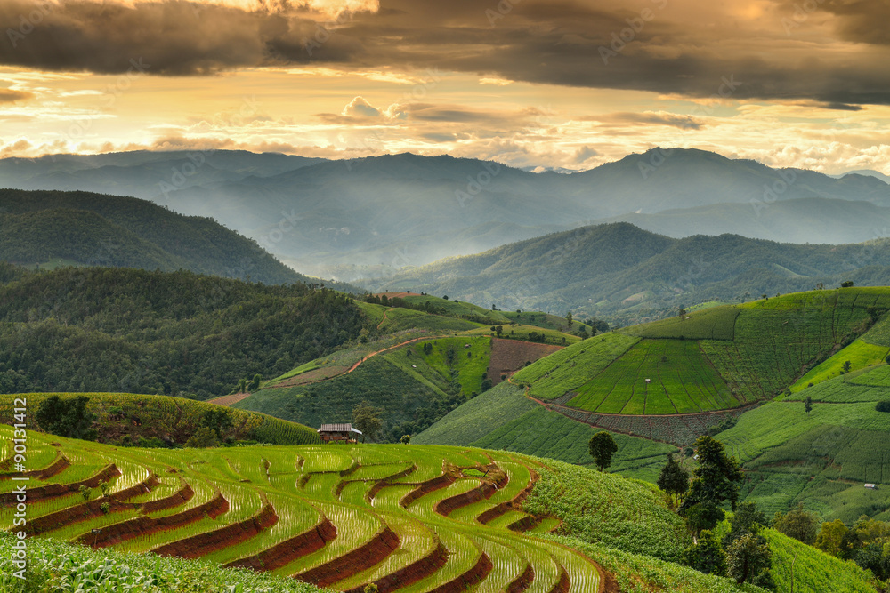 Terraced rice and landscape  Chiang Mai
