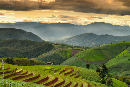 Terraced rice and landscape Chiang Mai