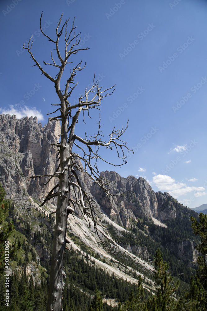 Dolomiti Dolomiti