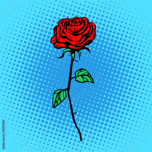 Flower red rose stem with thorns